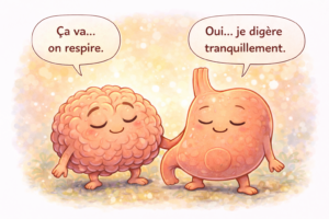 Illustration d’un cerveau et d’un estomac apaisés, montrant la régulation du système nerveux et l’amélioration de la digestion après une diminution du stress.